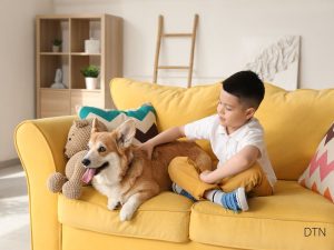 Dogs and Children A Guide to Safe, Enriching Relationships