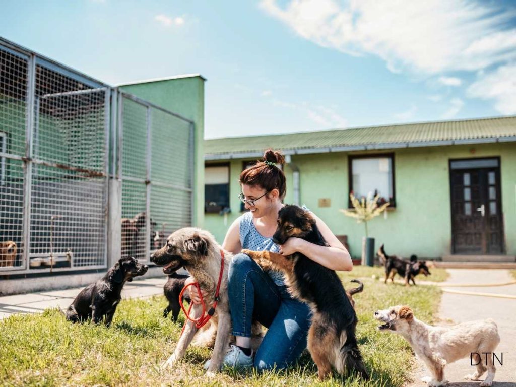 From Stress to Success The Science of Helping Shelter Dogs Thrive