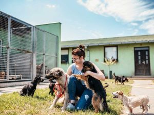 From Stress to Success The Science of Helping Shelter Dogs Thrive