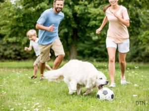 Family Conflict and Canine Behavioral Regression What Every Owner Should Know